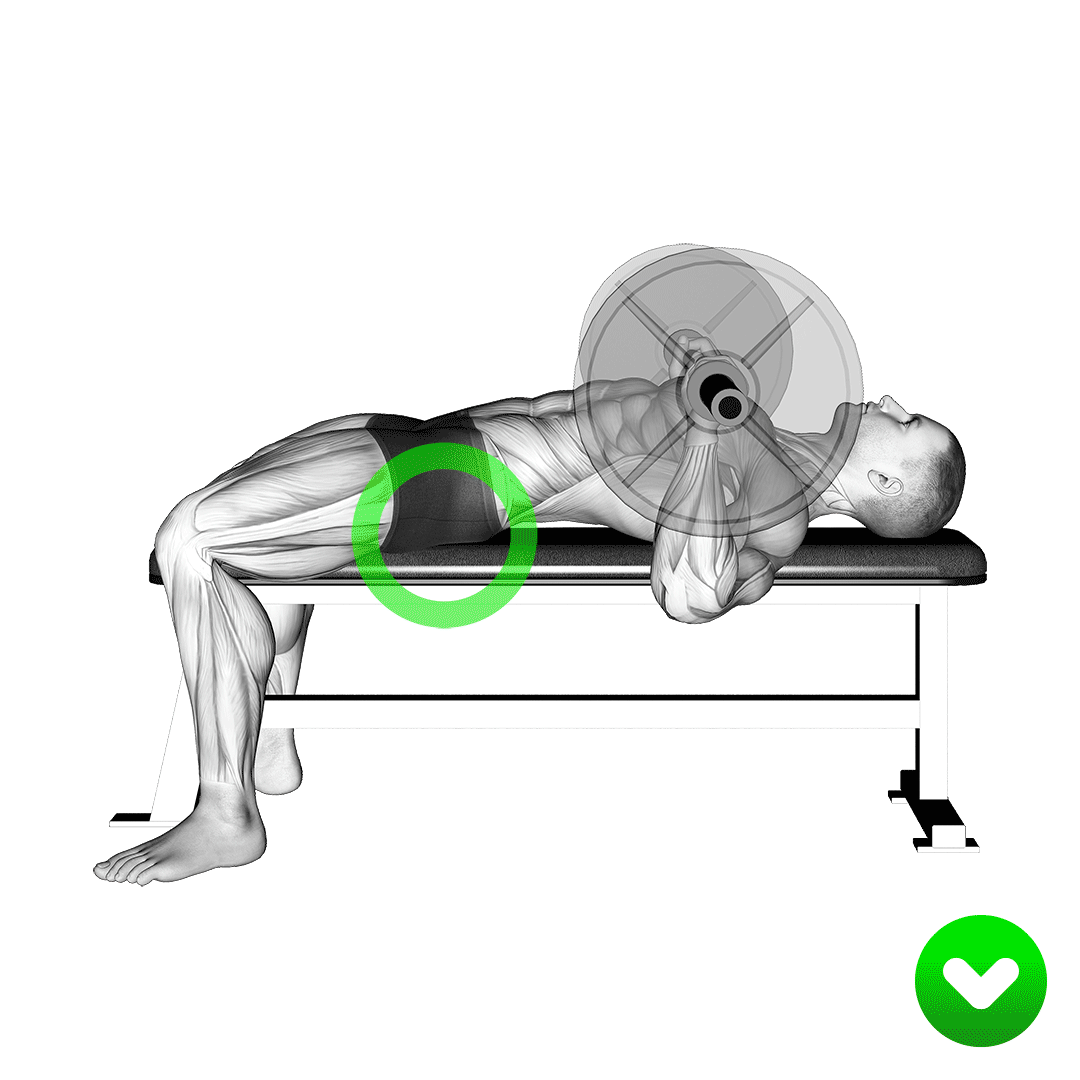 bench press glutes