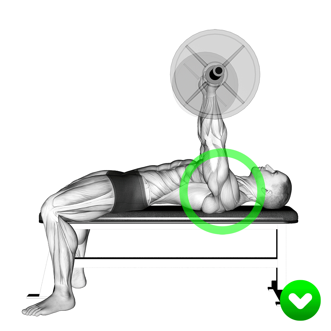 bench press shoulders