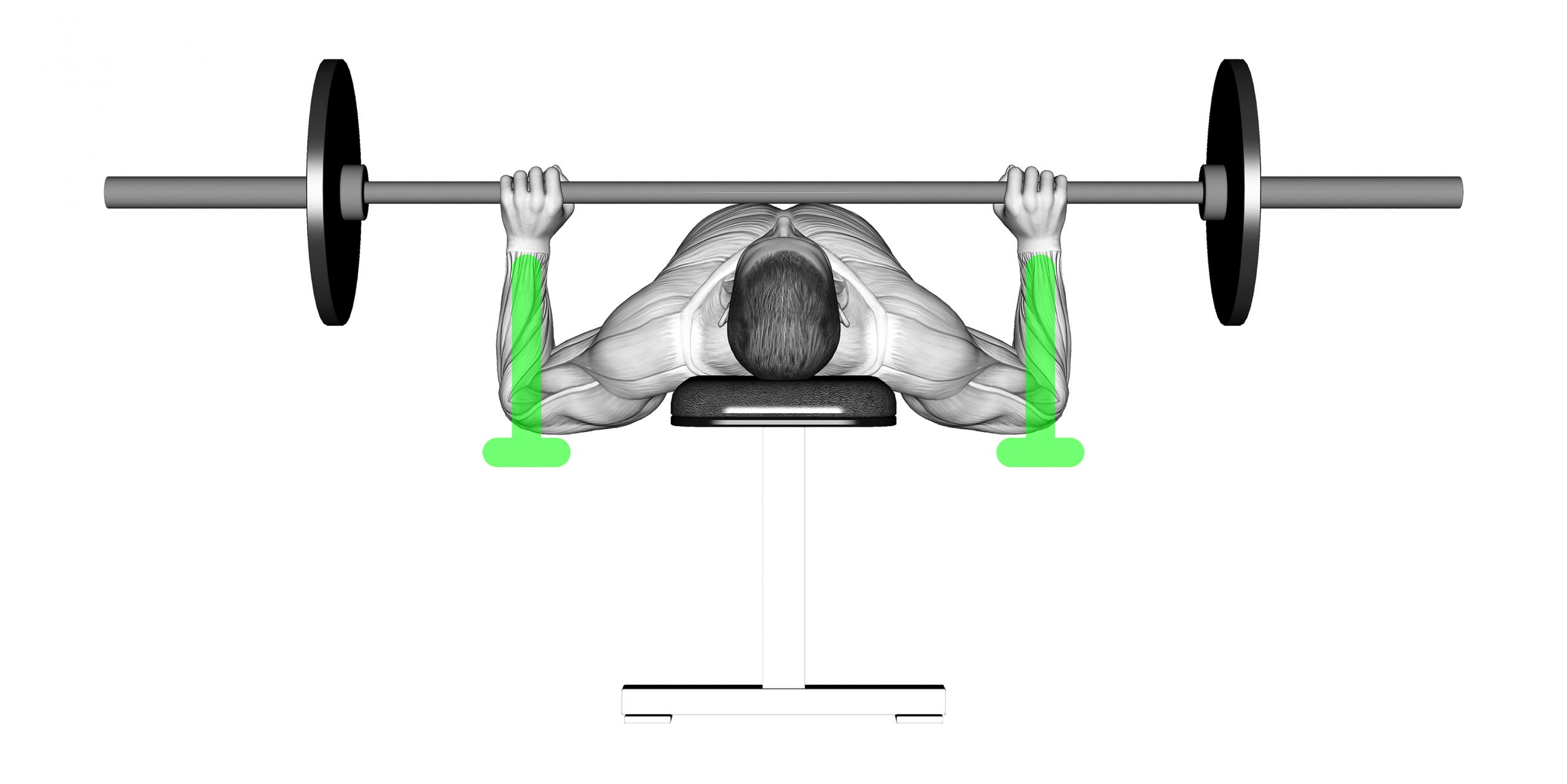 bench press barbell touch point