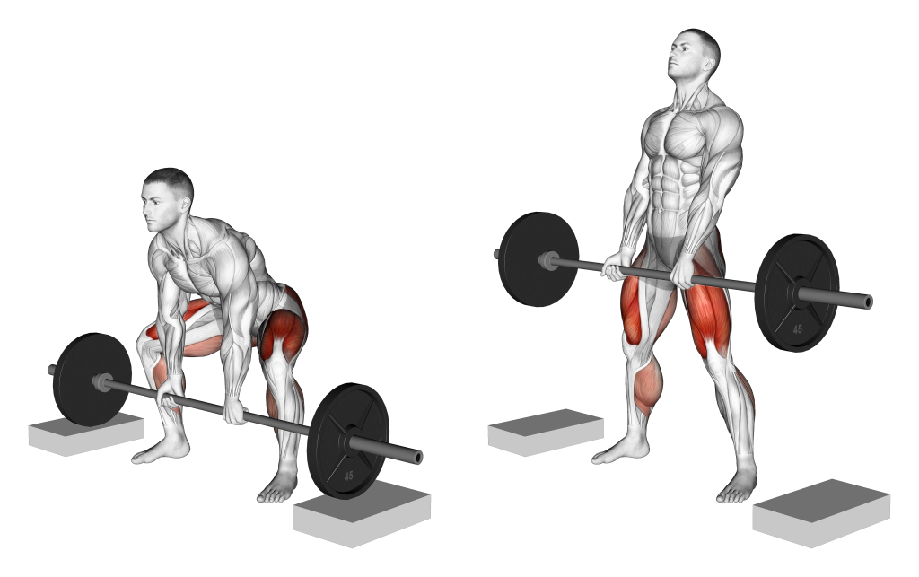 block pull deadlift muscles