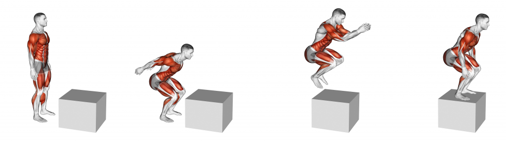box jump muscles
