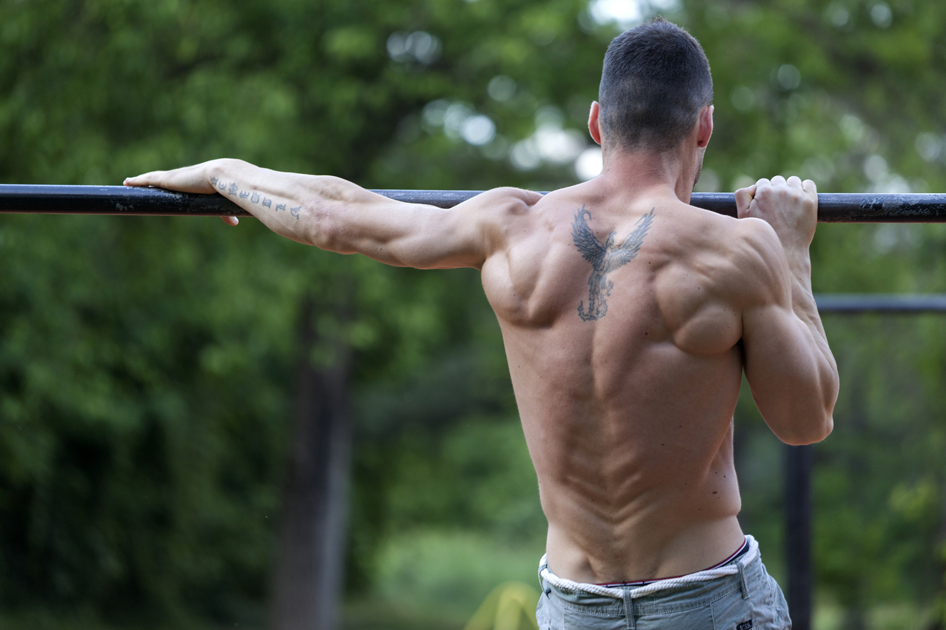 calisthentics upper body back