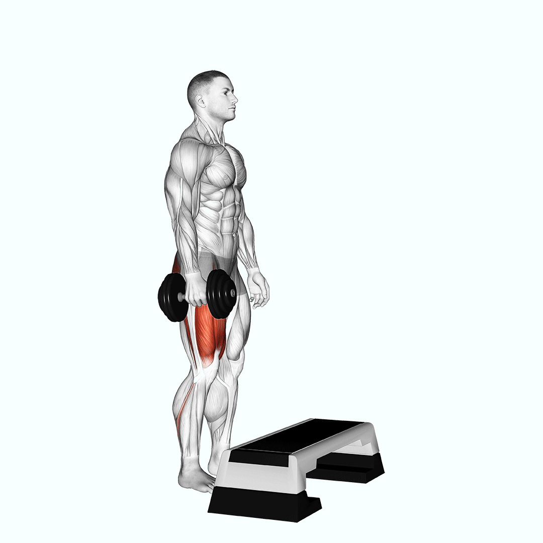 dumbbell step up