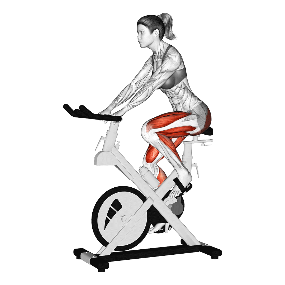 exercise bike
