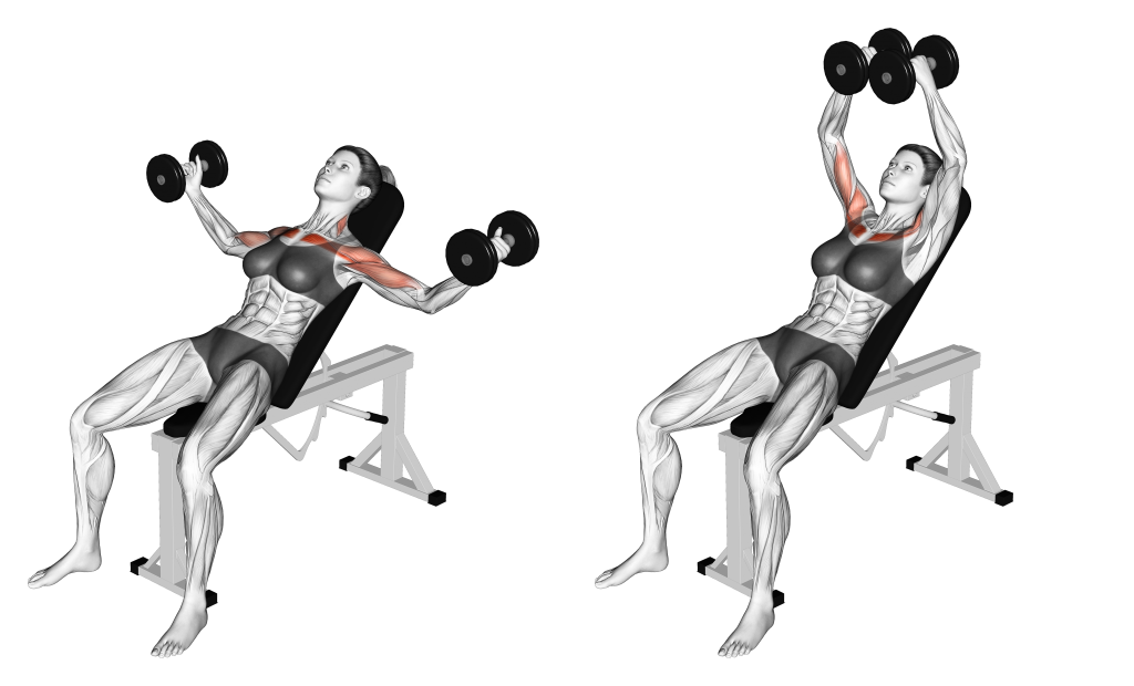 incline dumbbell fly