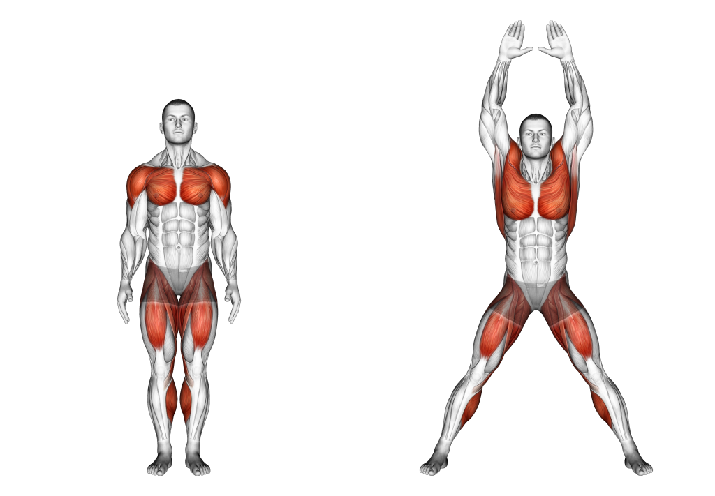 jumping jacks muscles