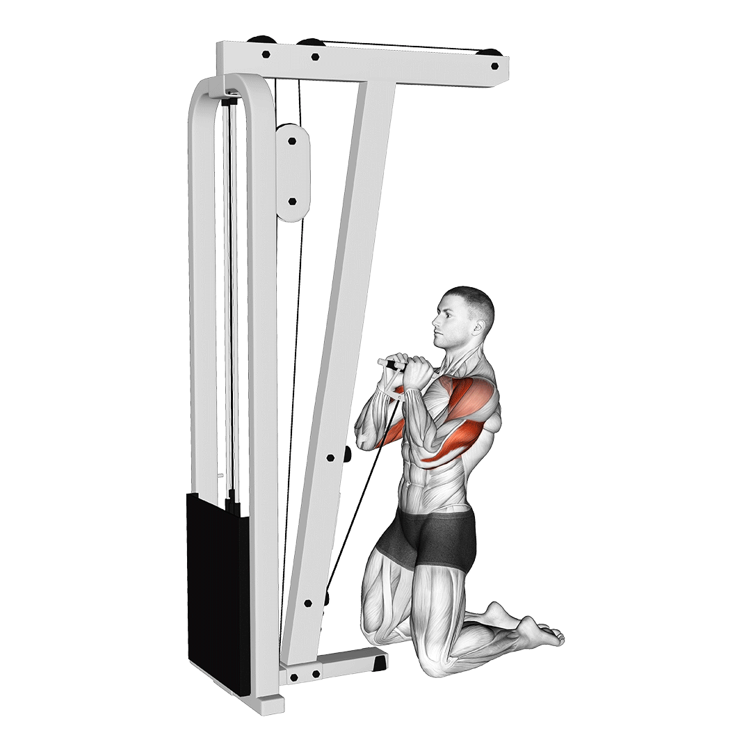 kneeling cable press