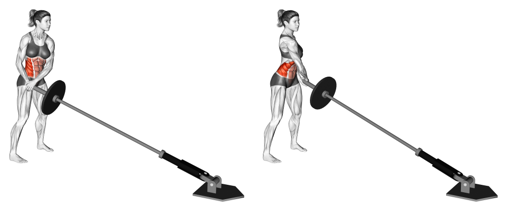 landmine twist