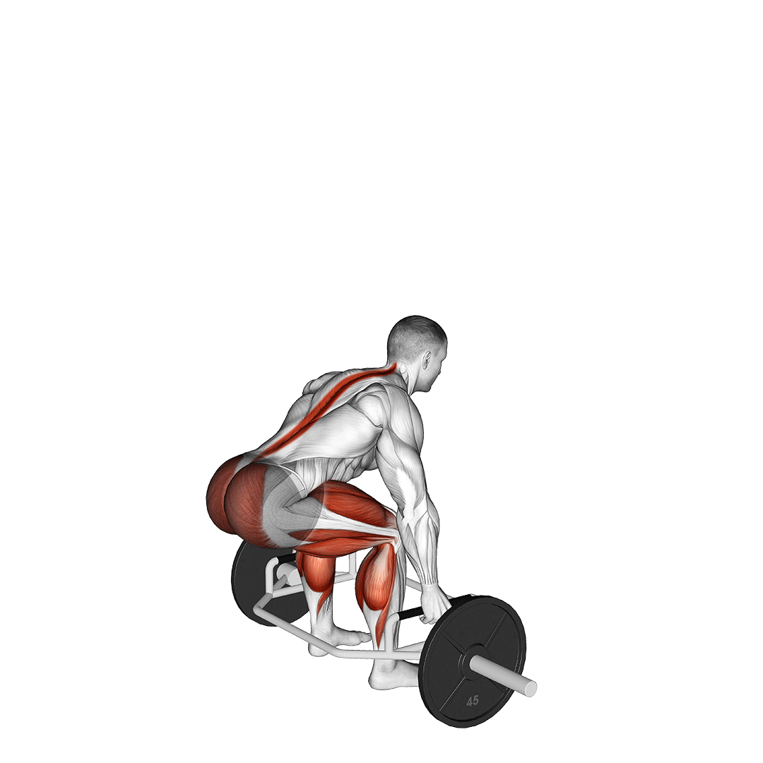 trap bar jump squat