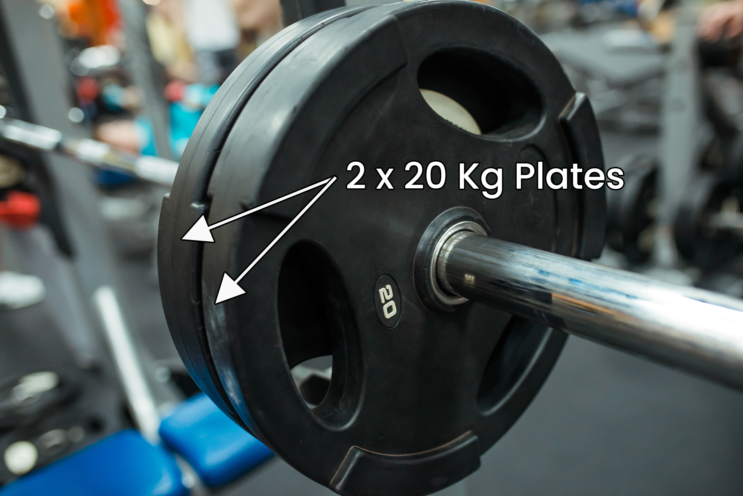 2 plate bench