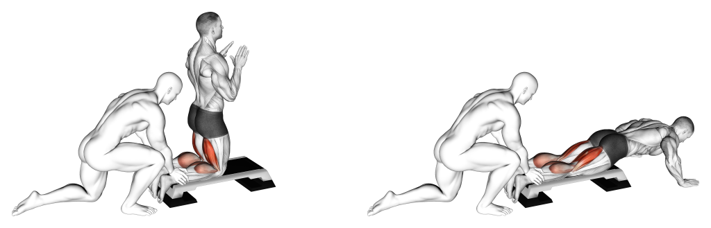 assisted inverse leg curl