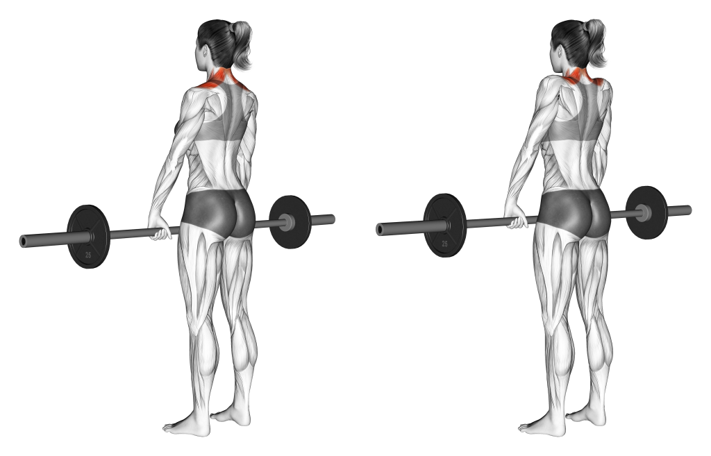 barbell shrug benefits