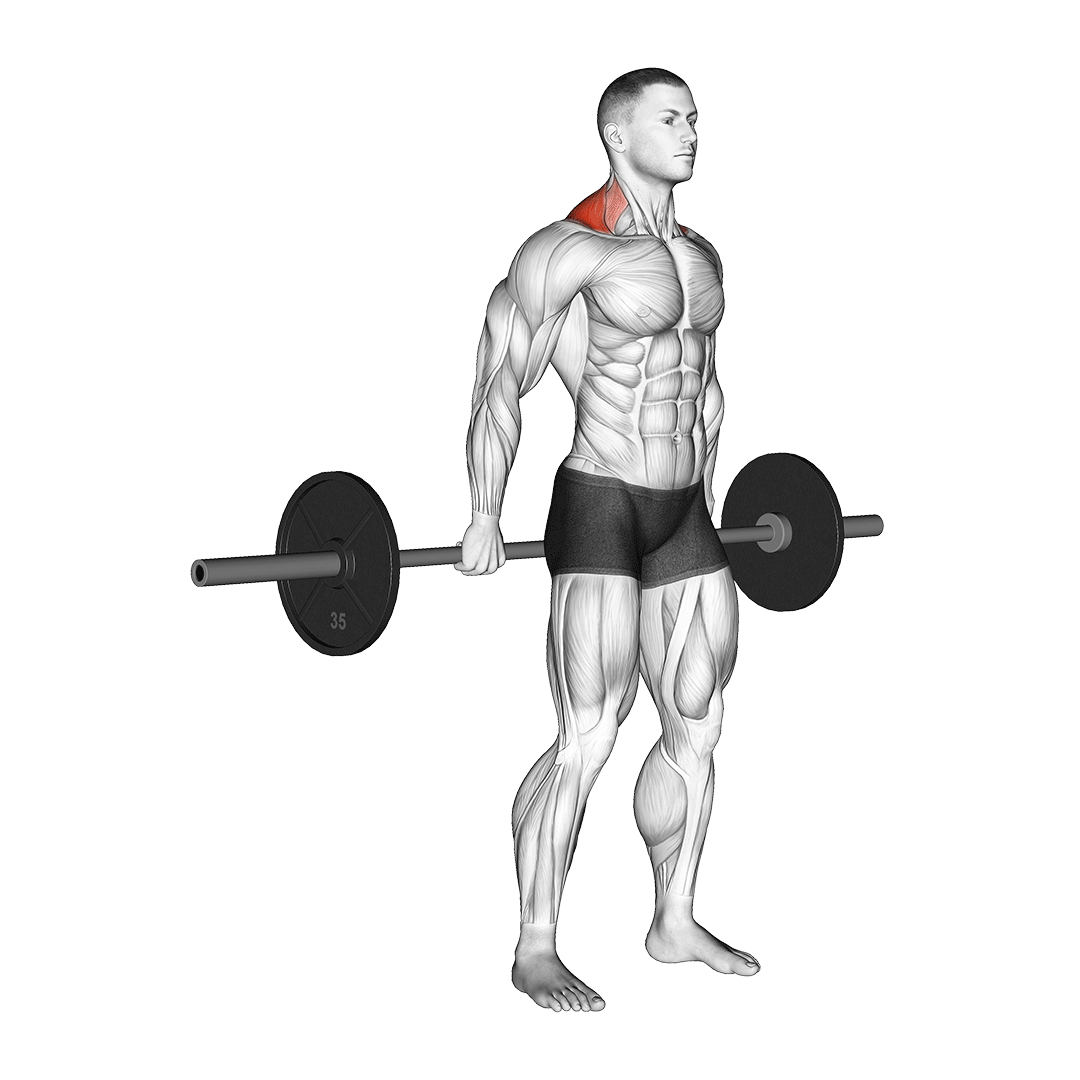 behind the back shrugs