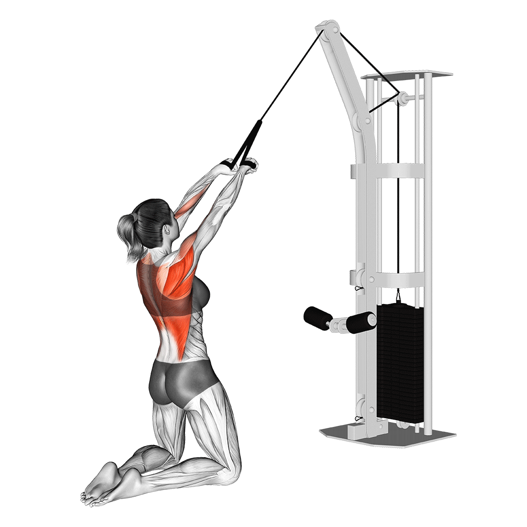 cable high row kneeling