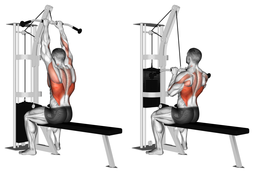 close grip lat pulldown musculature