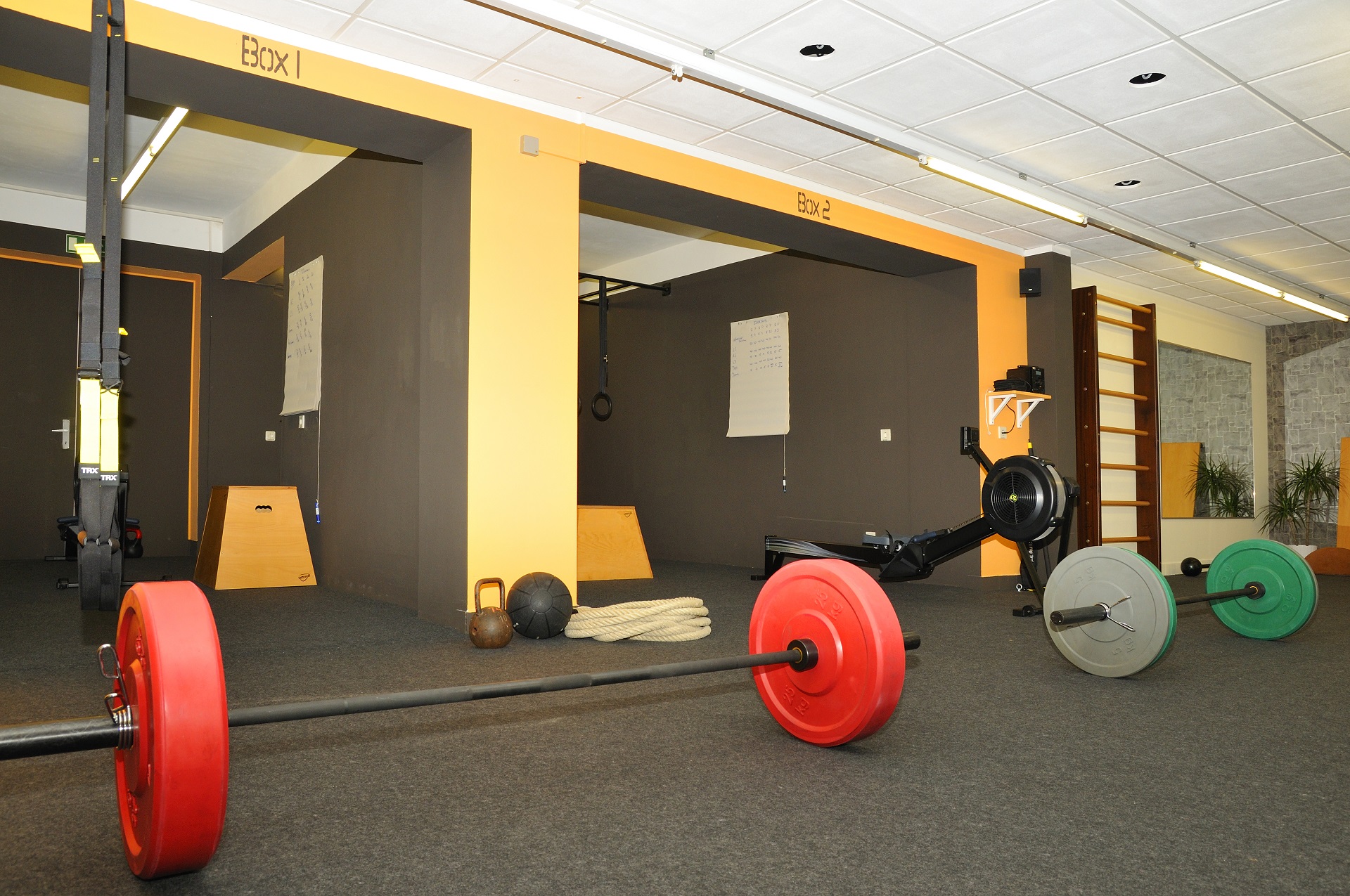 crossfit equipment