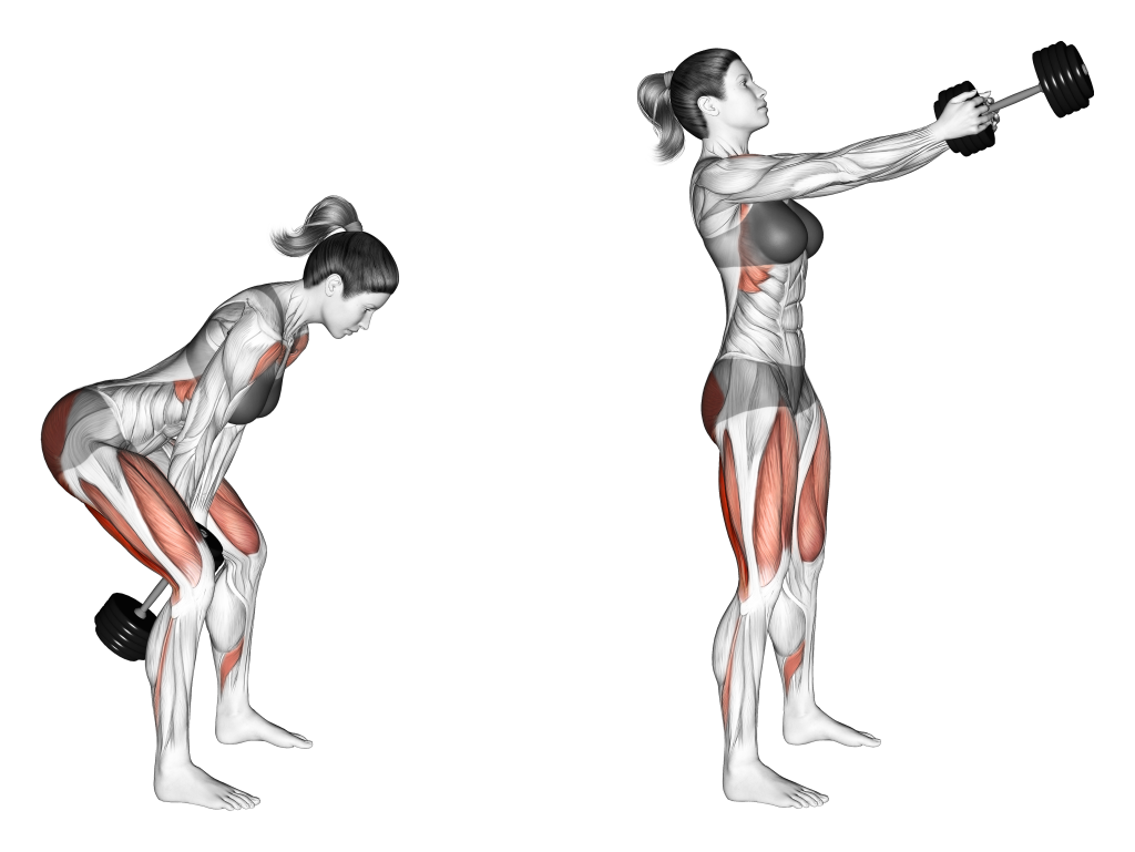 dumbbell swing muscles