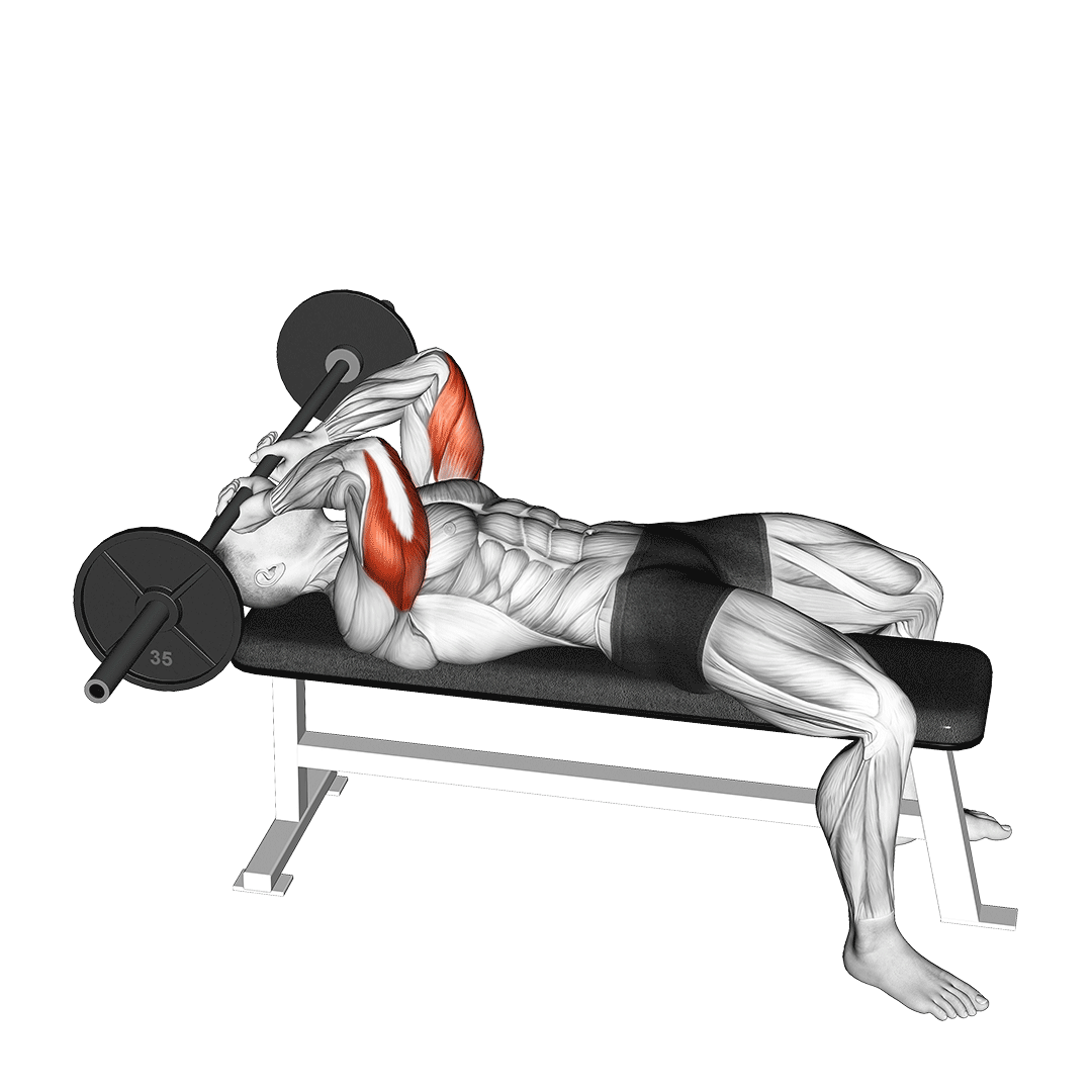 flat bench skullcrusher
