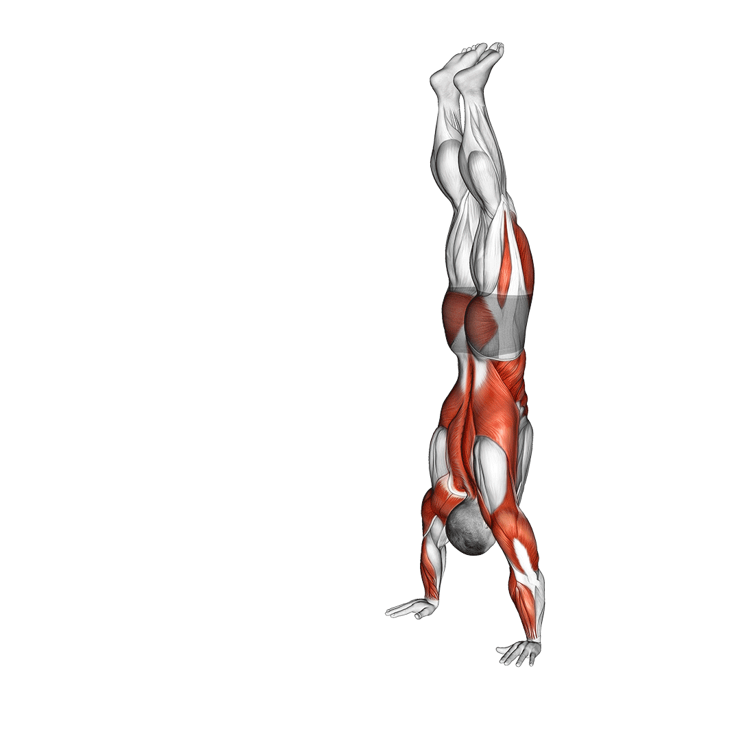 handstand walk