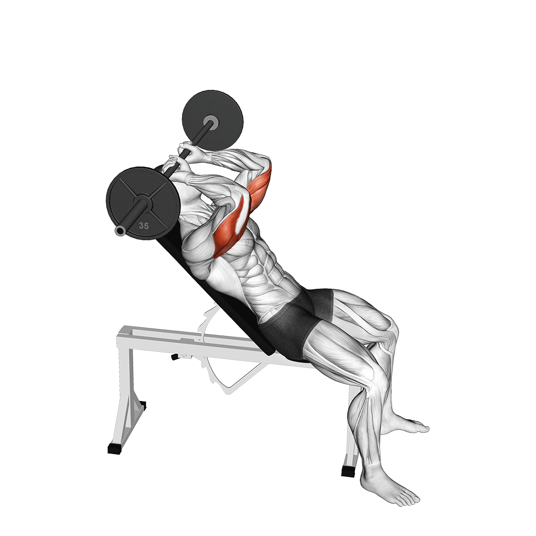incline skullcrushers