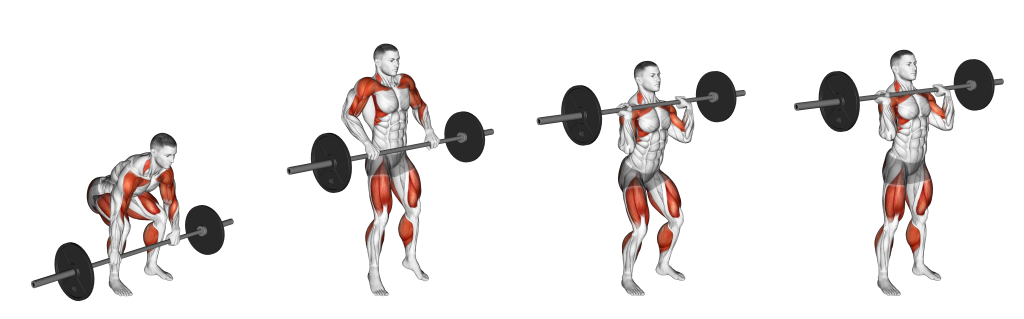 power clean muscles
