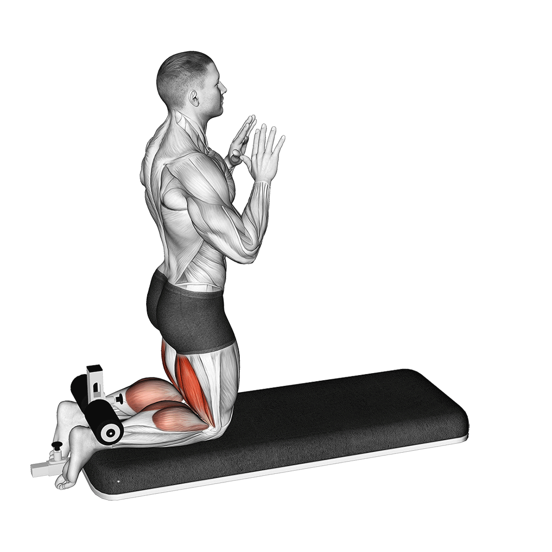 reverse nordic curl