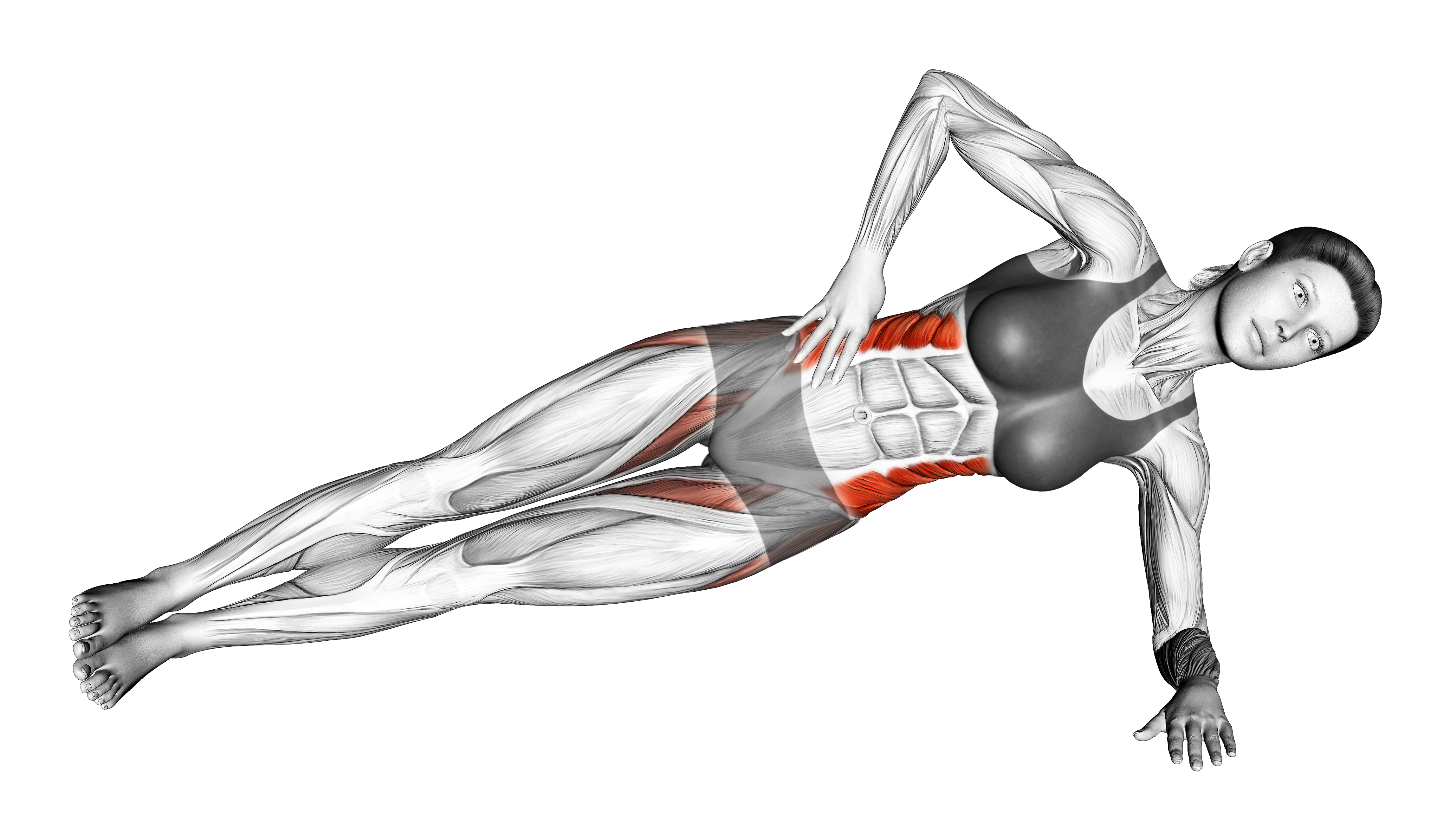 planks-benefits-muscles-worked-and-more-inspire-us