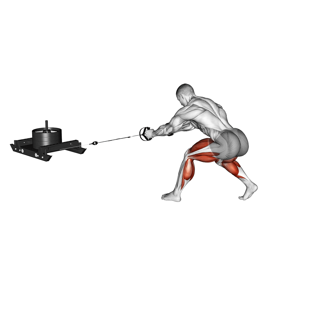 sled drag