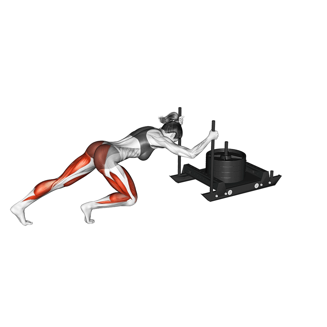 sled push muscles
