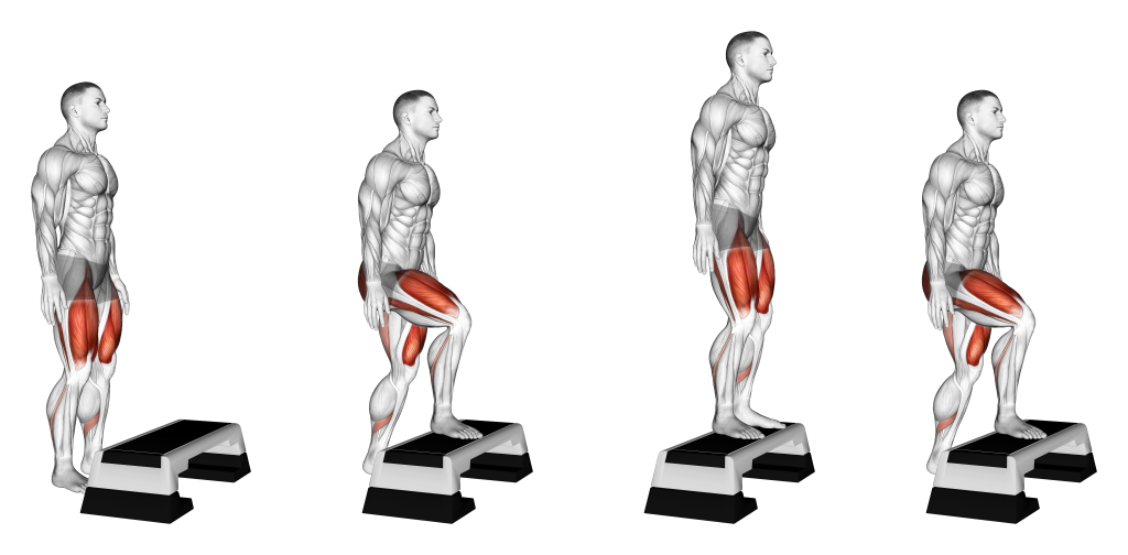 step up muscles