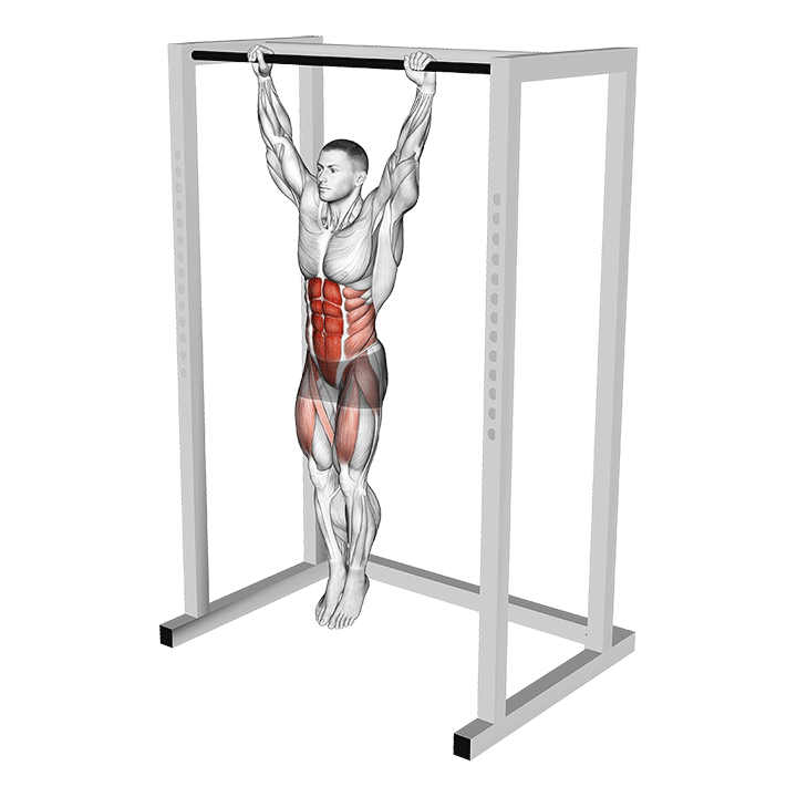 toes to bar muscles