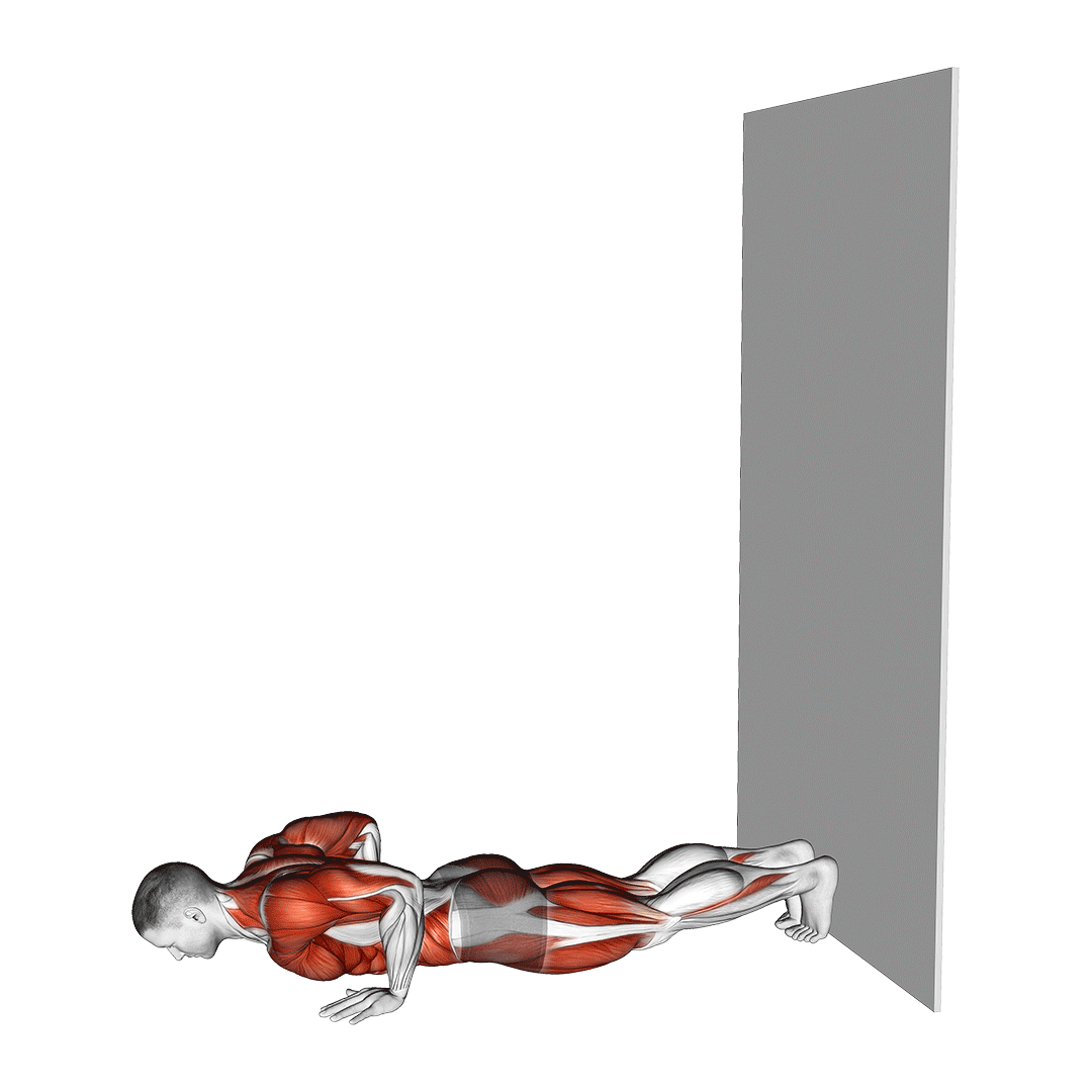 wall walk muscles