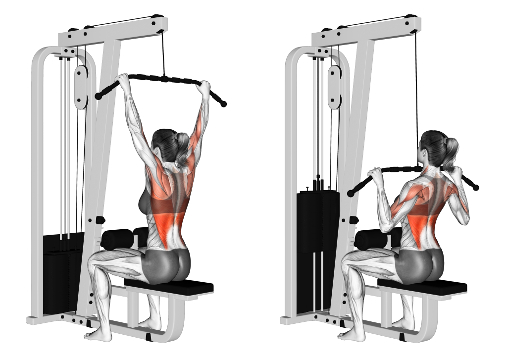 wide grip lat pulldown musculature