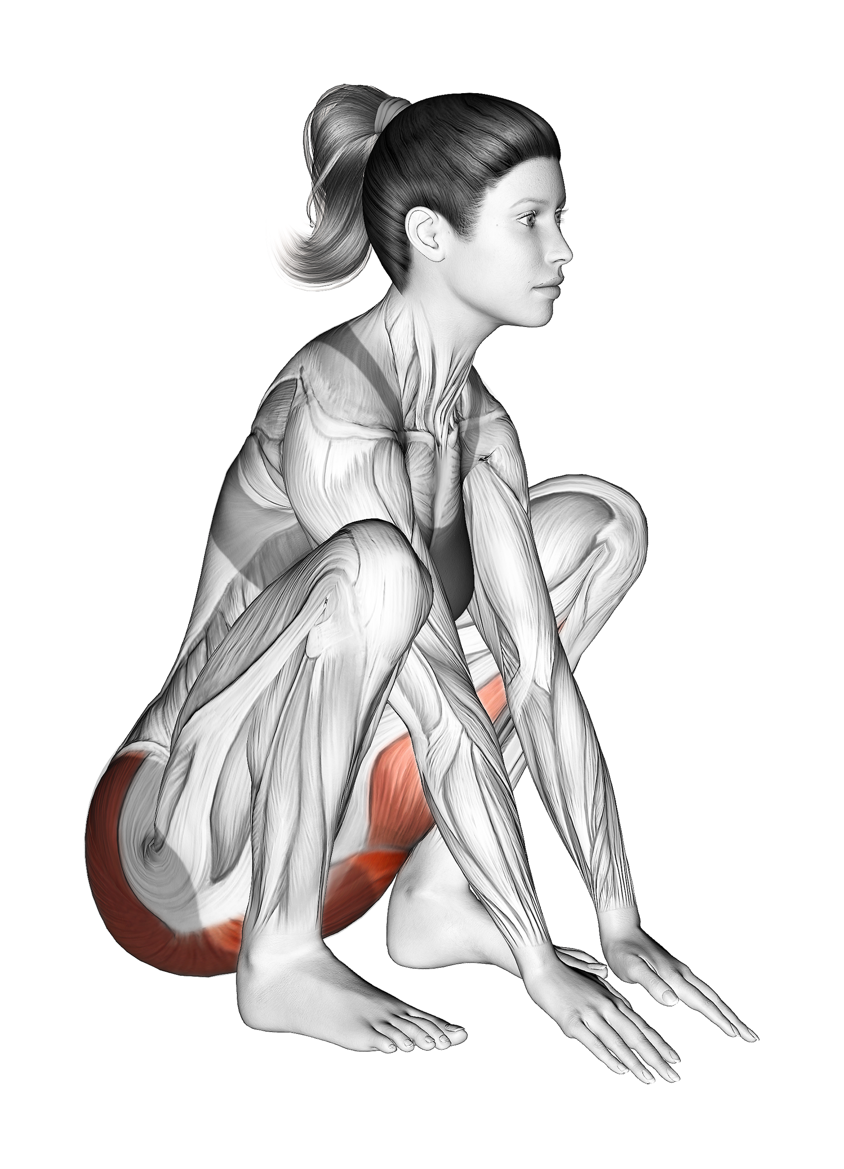 asian squat