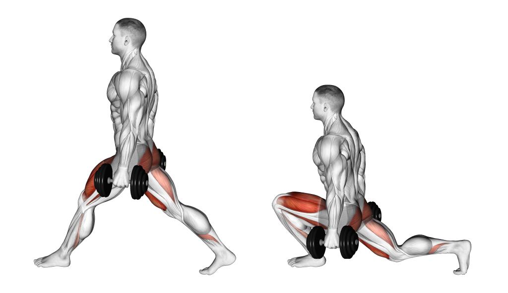 atg split squat muscles