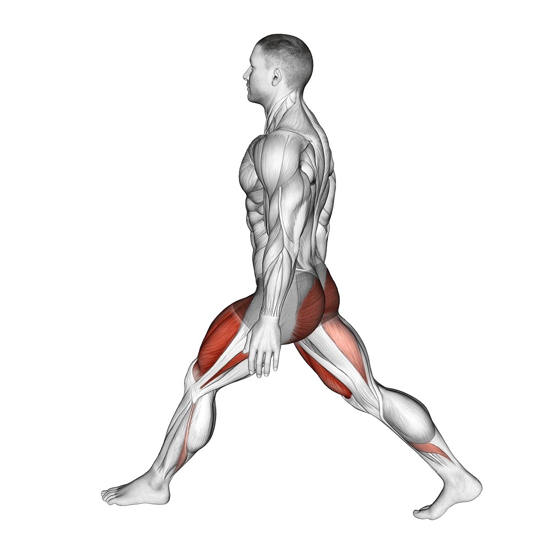 atg split squat