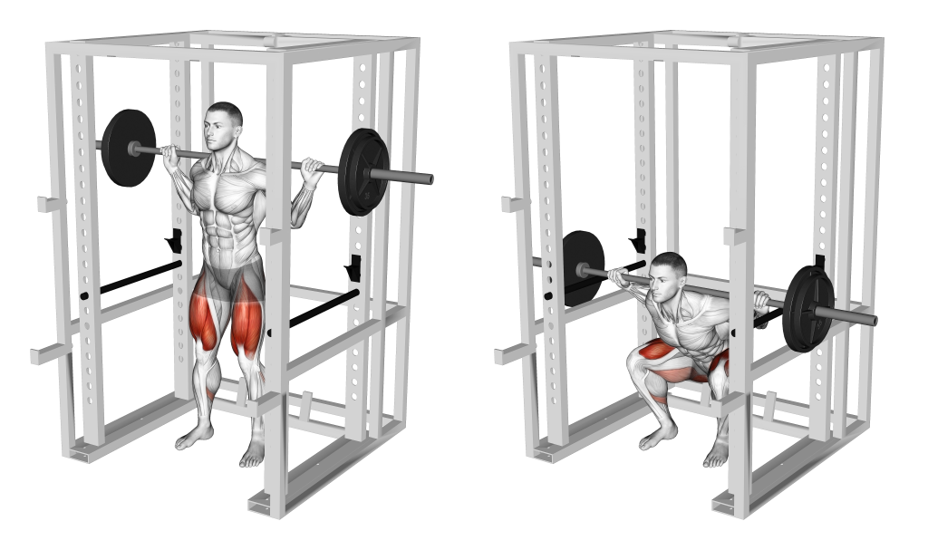 bottom up squat muscles