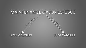 Dirty Bulk vs Clean Bulk: Is One Better than the Other? - Inspire US