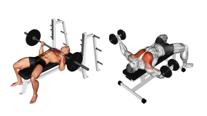 Compound Set Split Superset vs Compound Sets: Differences in Training Explained - Inspire US