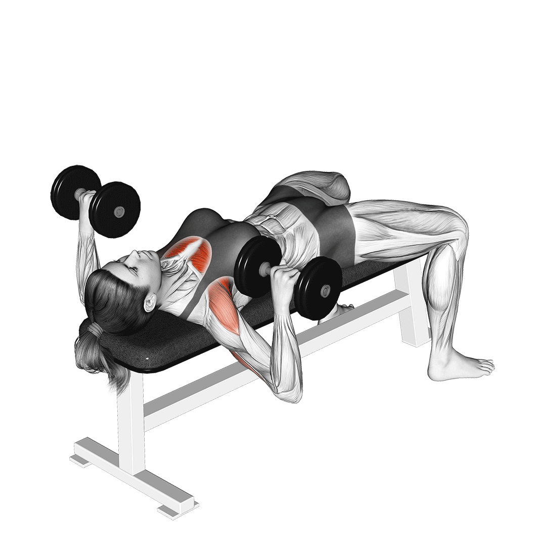 dumbbell chest press