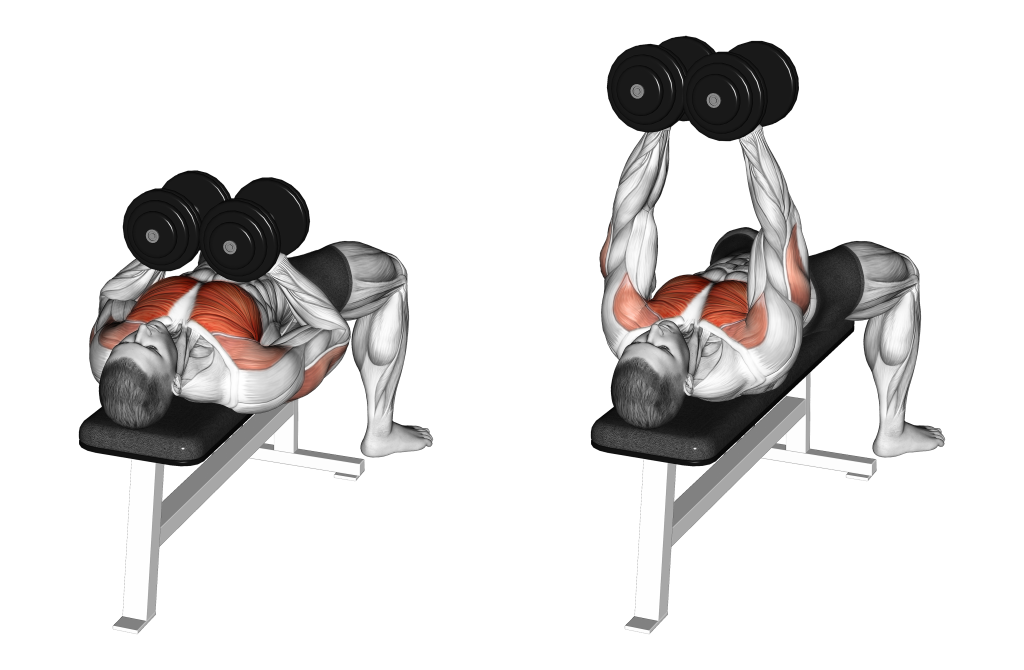 dumbbell hex press muscles