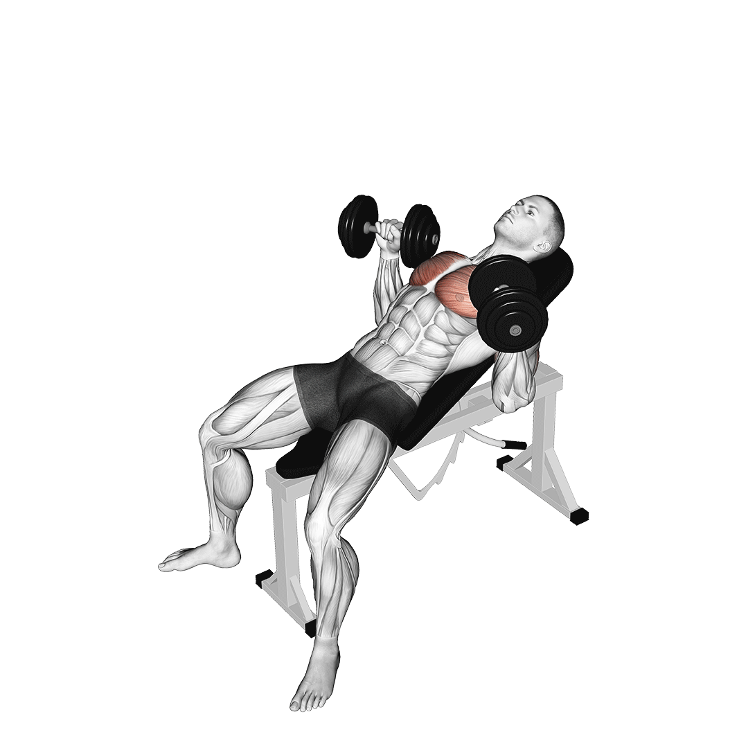 incline dumbbell press