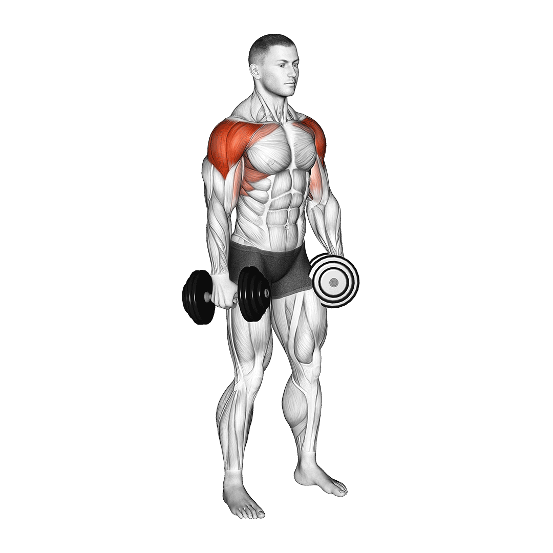 dumbbell lateral raise variations