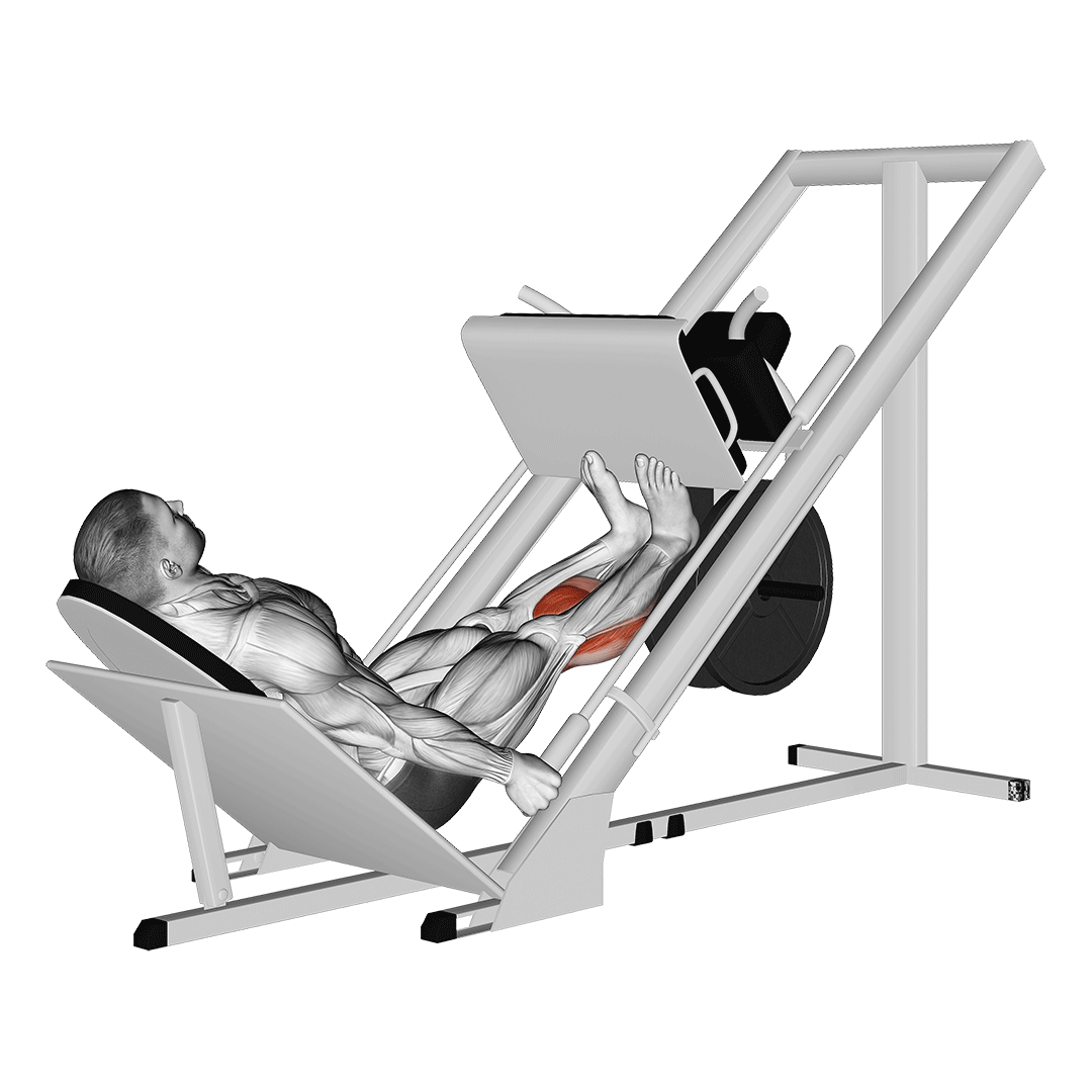 leg press calf raise