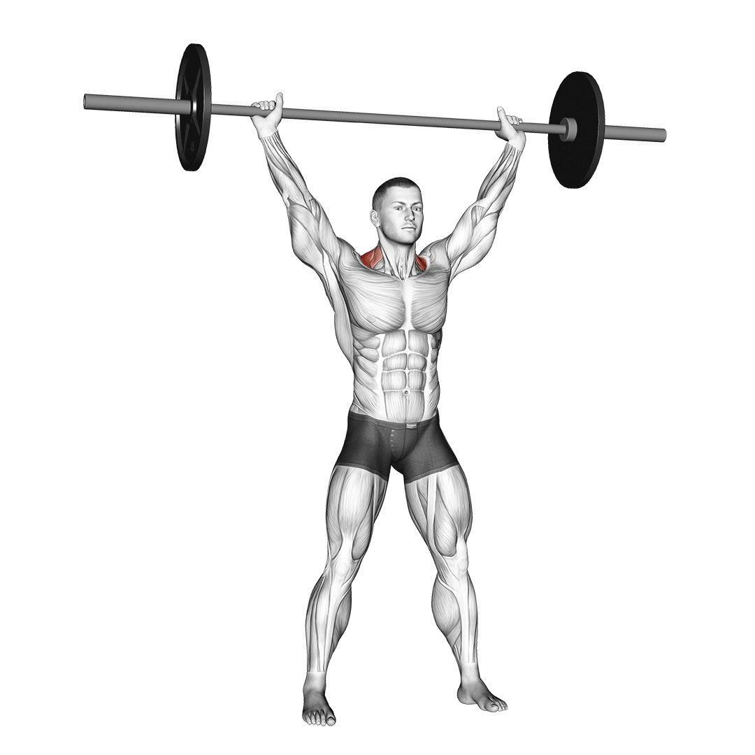 overhead shrugs