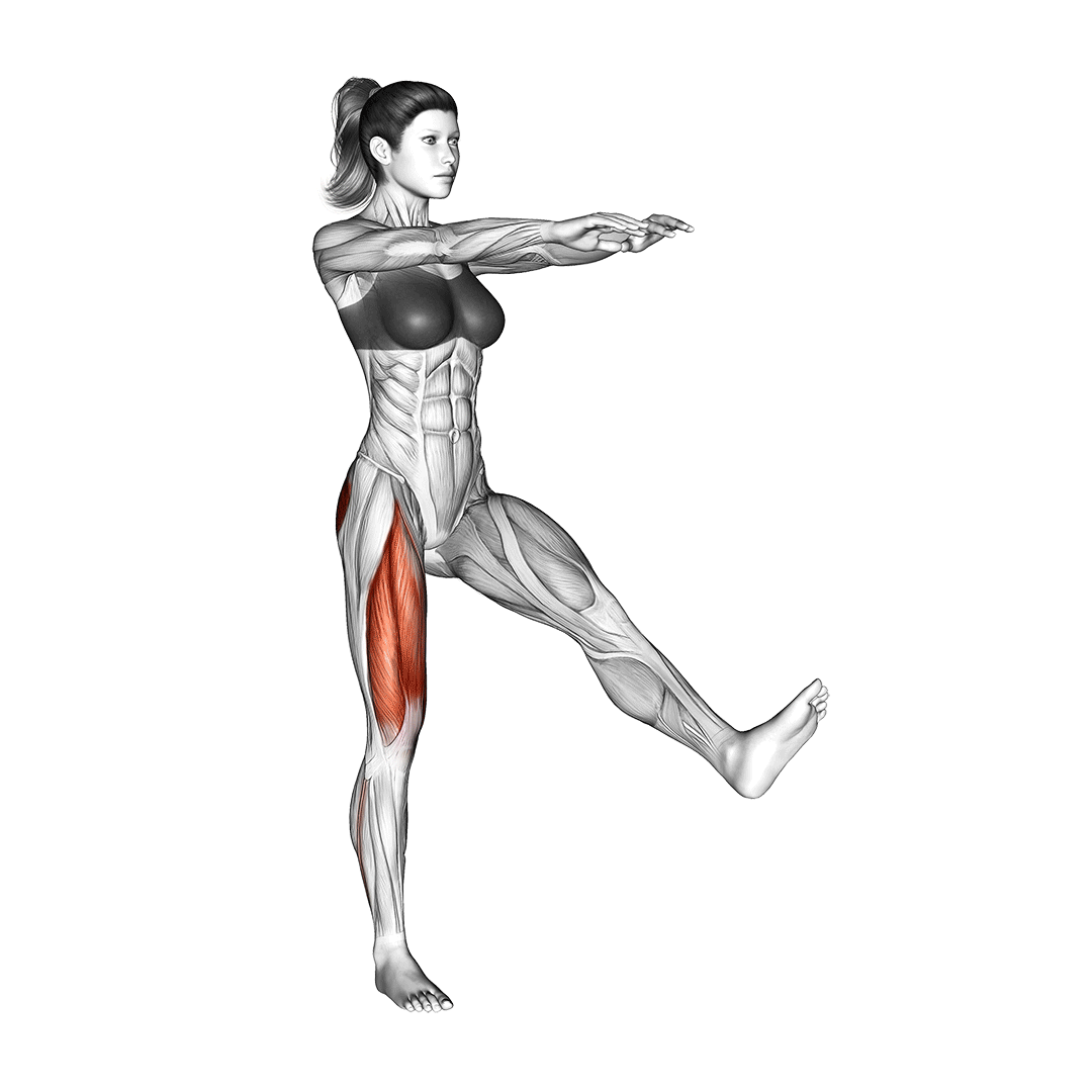 pistol squat muscles