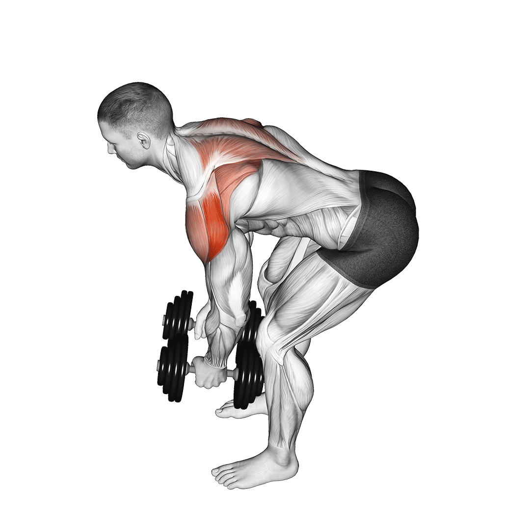 rear delt fly