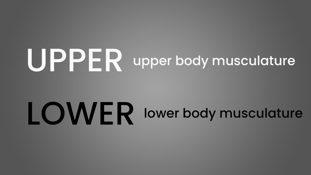 upper lower