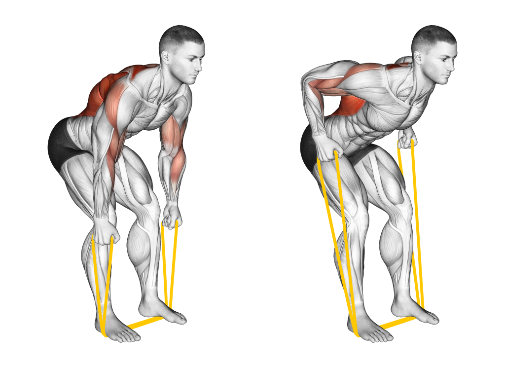band bent over row