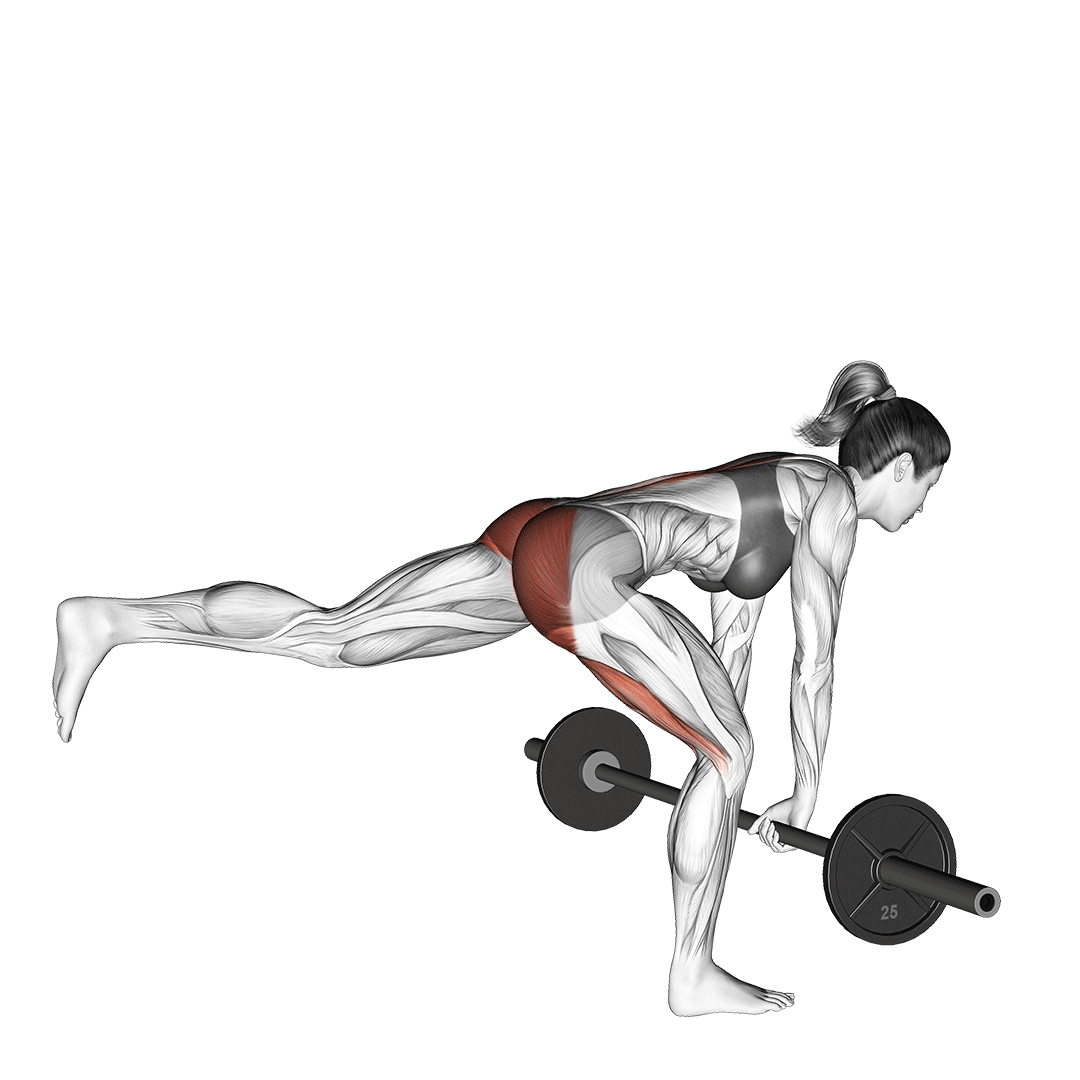 barbell single leg deadlift